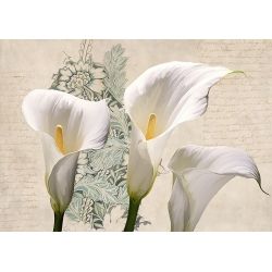 Cuadro flores modernos, en lienzo y lámina, Tres calas de Elena Dolci