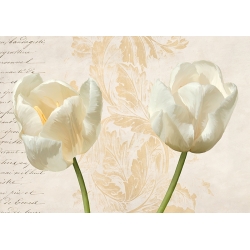 Modern flowers print and canvas, Two Tulips by Elena Dolci