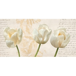 Kunstdruck, Leinwandbild, Drei moderne Tulpen von Elena Dolci