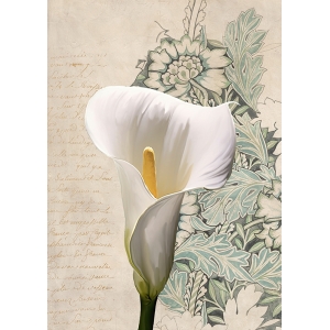 Cuadro moderno flores en lienzo y lámina, Calla I de Elena Dolci