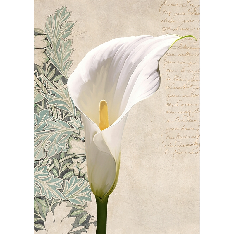 Cuadro moderno flores en lienzo y lámina, Calla II de Elena Dolci
