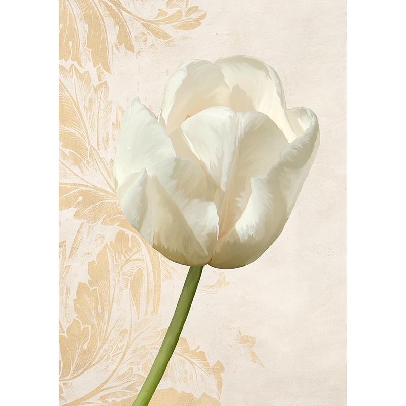 Modern floral art print and canvas, Tulip II by Elena Dolci