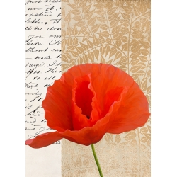 Kunstdruck, Leinwandbild mit Blumen, Moderner Mohn II, Elena Dolci