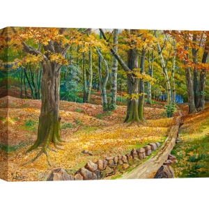 Art print and canvas, A path through the woods, Adriano Galasso