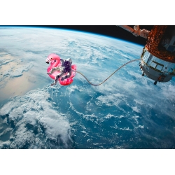 Lámina divertidas de la NASA, Flotando en el espacio de Astrolabs
