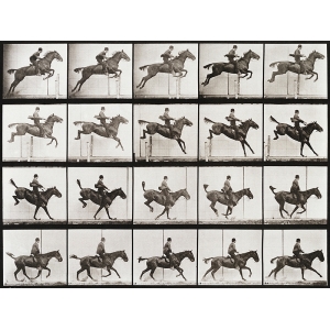 Vintage photo print, Animal Locomotion, Plate 637, Muybridge