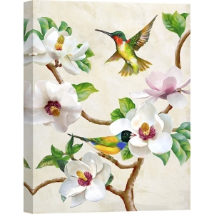 Tableau sur toile. Terry Wang, Magnolia avec petits oiseaux
