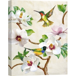 Quadro, stampa su tela. Terry Wang, Magnolia con uccellini