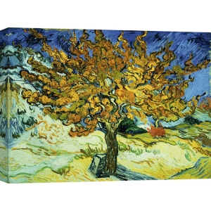 Leinwandbilder. Vincent van Gogh, Der Maulbeerbaum