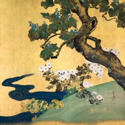 Japanischer Leinwandbild, Paulonia und Chrysanthemen, Hoitsu Sakai
