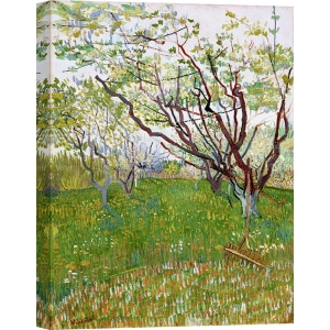 Tableau sur toile. Vincent van Gogh, Verger en fleurs