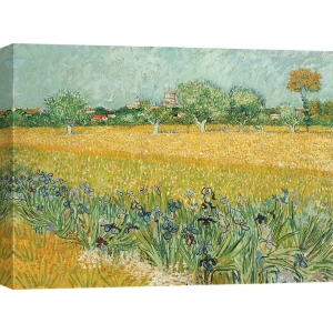 Cuadro en canvas. Vincent van Gogh, Campo con lirios cerca de Arlés