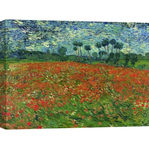 Cuadro en canvas. Vincent van Gogh, Campo de amapolas