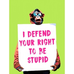 Monkey poster, I defend your Right by Masterfunk Collective