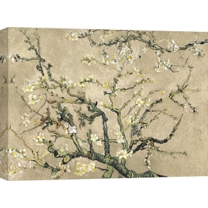 Leinwandbilder. Van Gogh Deco – Blühende Mandelbaumzweige (beige)