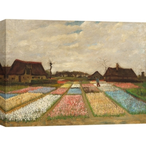 Wall art print and canvas. Vincent van Gogh, Flower Beds in Holland