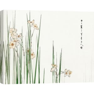 Japanese print and canvas, Jonquil by Watanabe Seitei