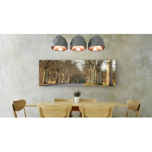 Wall art print and canvas. Tree Lined Road, Norfolk, UK