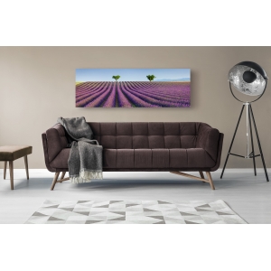 Wall art print and canvas. Krahmer, Lavender field, Provence, France