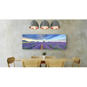 Wall art print and canvas. Krahmer, Lavender Field, France