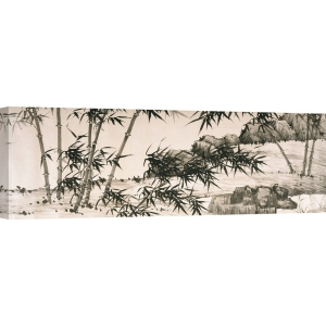 Wall art print and canvas. Xia Chang, Bamboo under Spring Rain