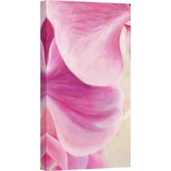 Wall art print and canvas. Cynthia Ann, Purple Orchids II
