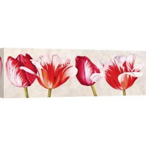 Cuadros de flores modernos en canvas. Luca Villa, Tulipanes alegres