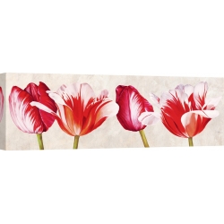 Wall art print and canvas. Luca Villa, Happy Tulips