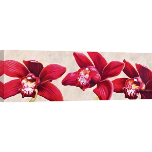 Quadro, stampa su tela. Luca Villa, Eleganti orchidee
