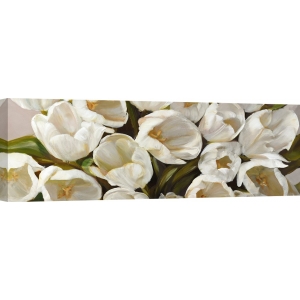 Leinwandbilder Blumen. Leonardo Sanna, Weisse Tulpen 
