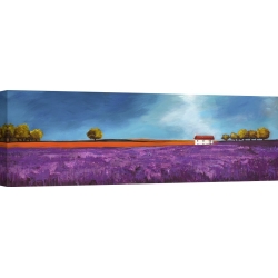 Wall art print and canvas. Philip Bloom, Field of lavender