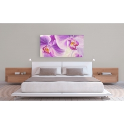 Wall art print and canvas. Cynthia Ann, Purple Orchids