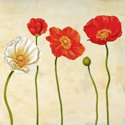 Cuadros de flores en canvas. Ann Cynthia, Amapolas (detalle)