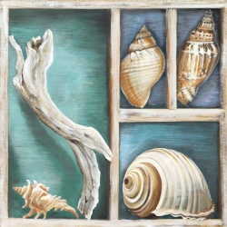 Tableau sur toile. Ted Broome, Coquillages de mer I
