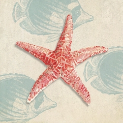 Cuadros marinos en canvas. Ted Broome, Conchas marinas I