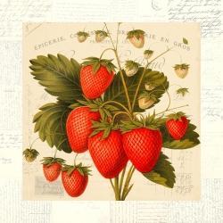 Leinwandbilder für Küche. Remy Dellal, Erdbeeren