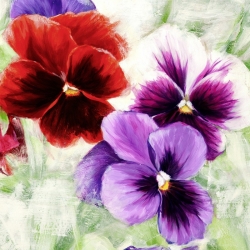 Cuadros de flores modernos en canvas. Jenny Thomlinson, Violette I