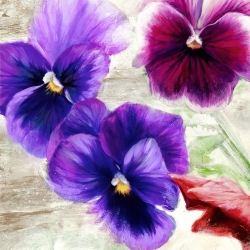 Leinwanddruck mit modernen Blumen. Jenny Thomlinson, Veilchen 2 