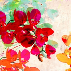 Cuadros de flores modernos en canvas. Sueño de hortensia (detalle)