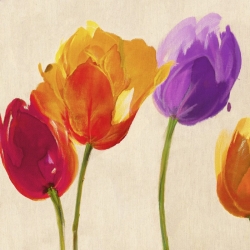 Cuadros de flores modernos en canvas. Tulips in Colors (detalle)