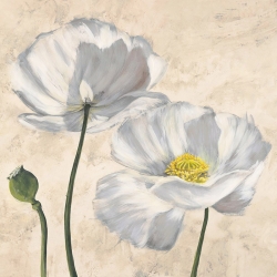 Tableau floral sur toile. Luca Villa, Coquelicots en blanc I