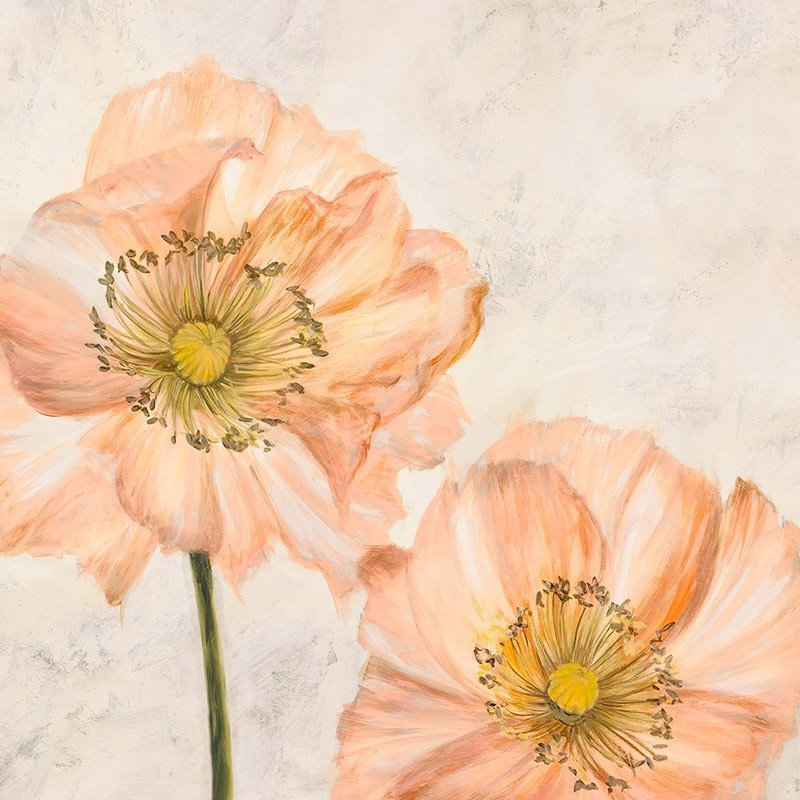 Tableau floral sur toile. Luca Villa, Coquelicots en rose I