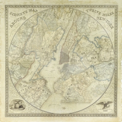 Karte und Weltkarte. Anonym, Twelve Miles around NY Map, 1849