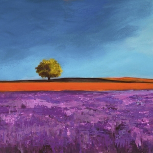 Cuadros de paisajes de campo en canvas. Bloom, Campo de lavanda