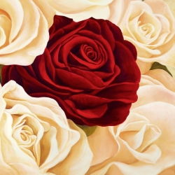 Wall art print and canvas. Serena Biffi, Rose composition (detail)
