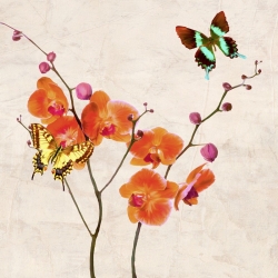 Leinwanddruck mit modernen Blumen. Orchideen und Schmetterlinge 1