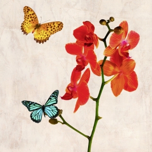 Leinwanddruck mit modernen Blumen. Orchideen und Schmetterlinge 2