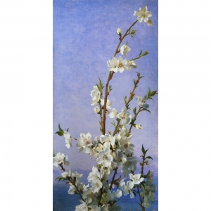 Tableau fleurs classiques sur toile. Sophie Anderson, Blossom II