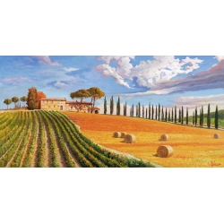 Wall art print and canvas. Adriano Galasso, Tuscan hills