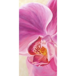 Tableau floral sur toile. Purple Orchids I